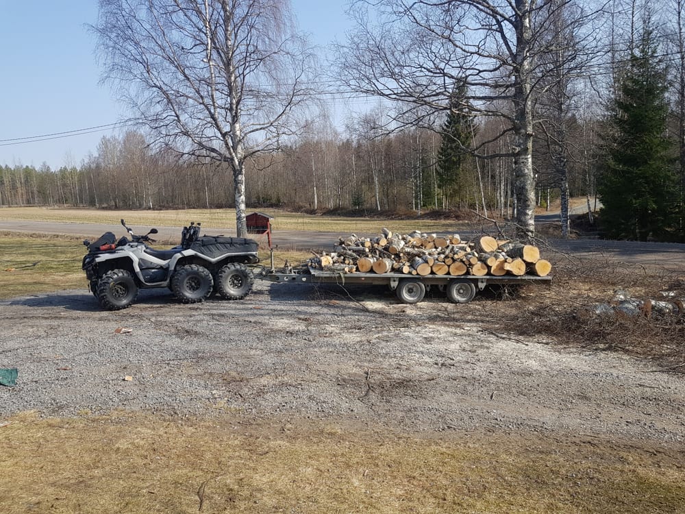 Tontin puunkaadot ja raivaus